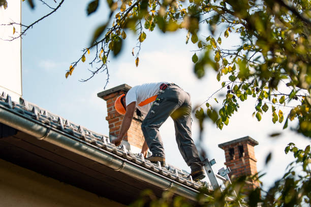 Best Roof Replacement Cost  in Cresaptown, MD