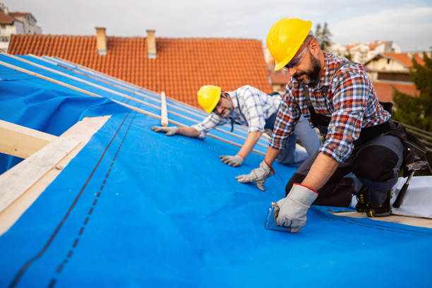 Best Roof Repair Services  in Cresaptown, MD