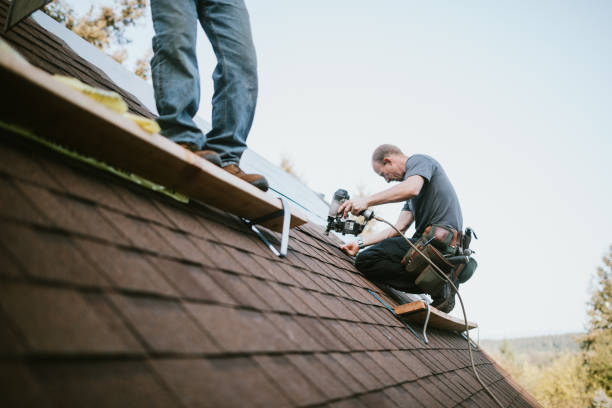 Gutter Installation and Roofing in Cresaptown, MD